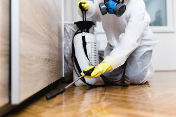 Best Best Pest Control Companies  in Chouteau, OK