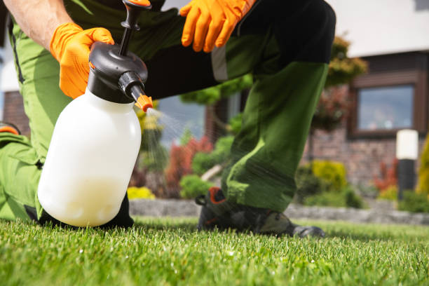 Insect Control in Chouteau, OK