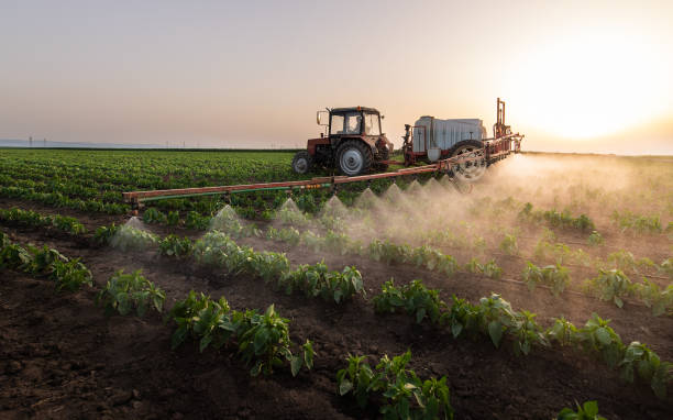 Best Pest Removal Services  in Chouteau, OK