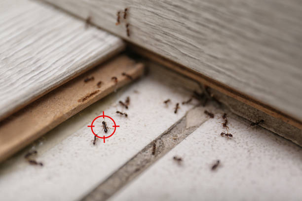  Chouteau, OK Pest Control Pros