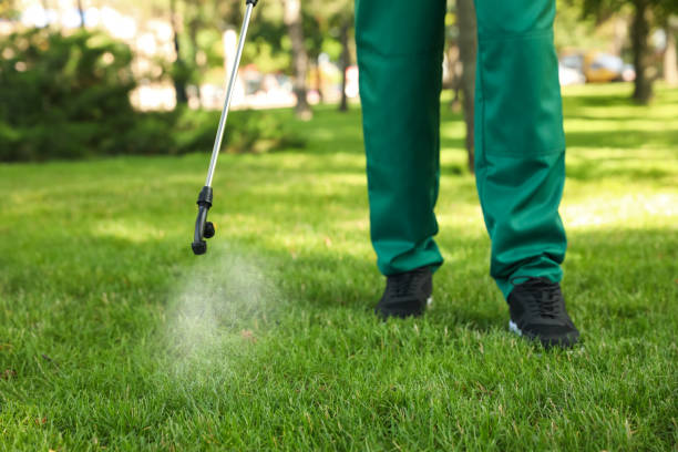 Best Termite Control Services  in Chouteau, OK