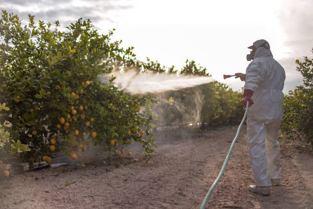 Best Affordable Pest Control Services  in Chouteau, OK
