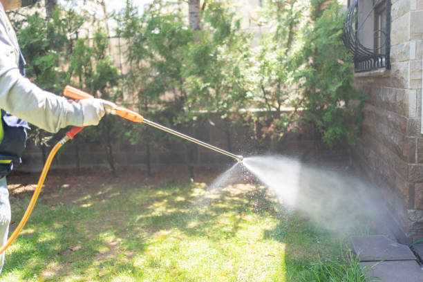 Best Insect Control  in Chouteau, OK
