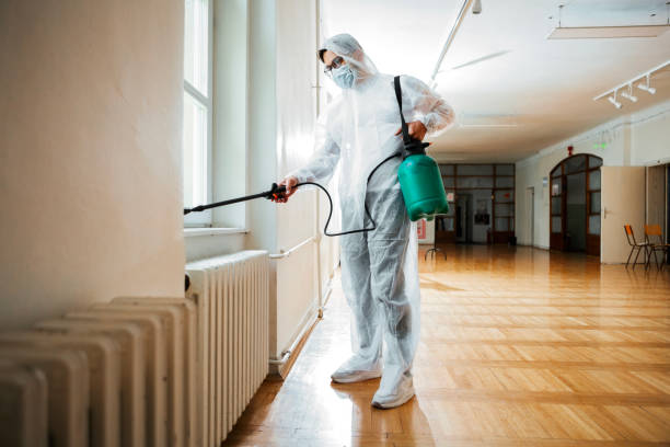Best Ant Control Services  in Chouteau, OK