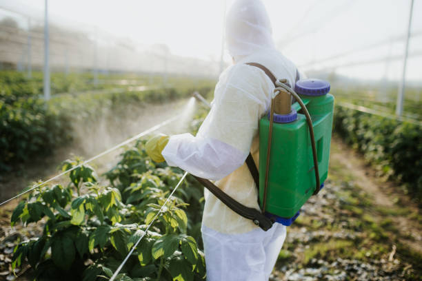 Wasp Removal Services in Chouteau, OK